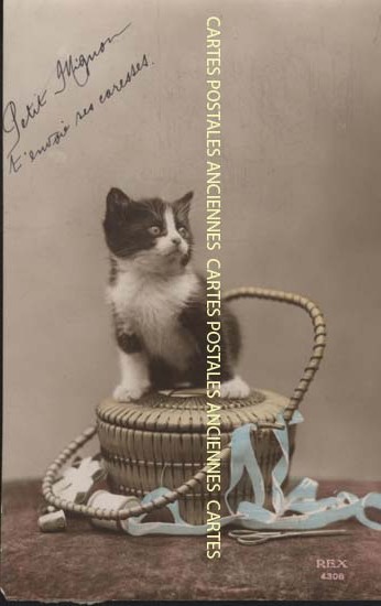 Cartes postales anciennes > CARTES POSTALES > carte postale ancienne > cartes-postales-ancienne.com Animaux Chats