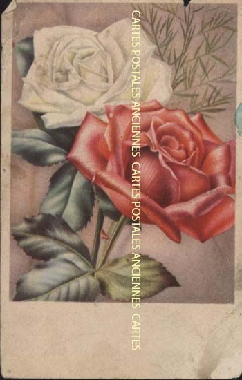 Cartes postales anciennes > CARTES POSTALES > carte postale ancienne > cartes-postales-ancienne.com Fleurs