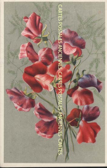 Cartes postales anciennes > CARTES POSTALES > carte postale ancienne > cartes-postales-ancienne.com Fleurs