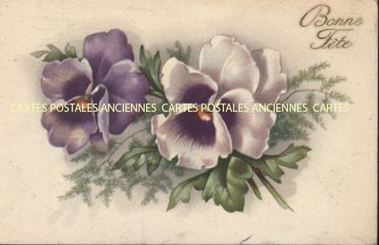 Cartes postales anciennes > CARTES POSTALES > carte postale ancienne > cartes-postales-ancienne.com Fleurs