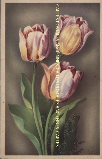 Cartes postales anciennes > CARTES POSTALES > carte postale ancienne > cartes-postales-ancienne.com Fleurs