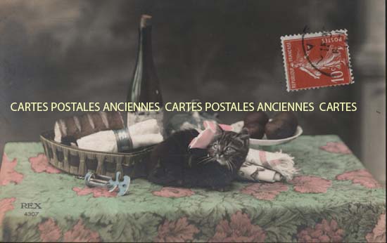 Cartes postales anciennes > CARTES POSTALES > carte postale ancienne > cartes-postales-ancienne.com Animaux Chats