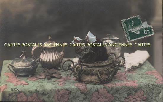 Cartes postales anciennes > CARTES POSTALES > carte postale ancienne > cartes-postales-ancienne.com Animaux Chats