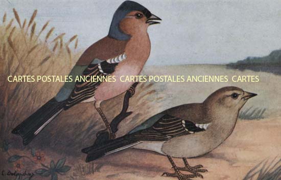 Cartes postales anciennes > CARTES POSTALES > carte postale ancienne > cartes-postales-ancienne.com