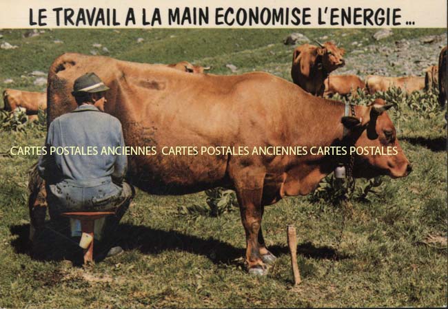 Cartes postales anciennes > CARTES POSTALES > carte postale ancienne > cartes-postales-ancienne.com Humour Animaux