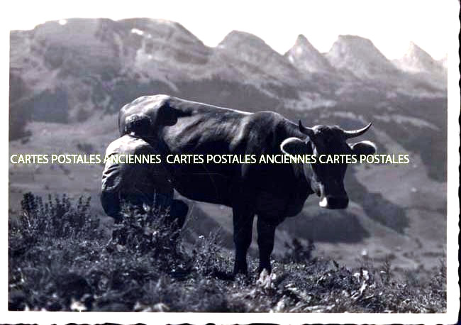 Cartes postales anciennes > CARTES POSTALES > carte postale ancienne > cartes-postales-ancienne.com