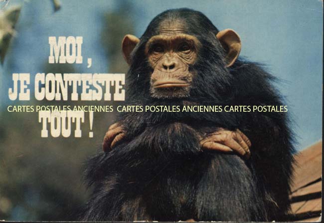 Cartes postales anciennes > CARTES POSTALES > carte postale ancienne > cartes-postales-ancienne.com Humour Animaux