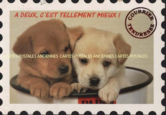 Cartes postales anciennes > CARTES POSTALES > carte postale ancienne > cartes-postales-ancienne.com Animaux Chiens