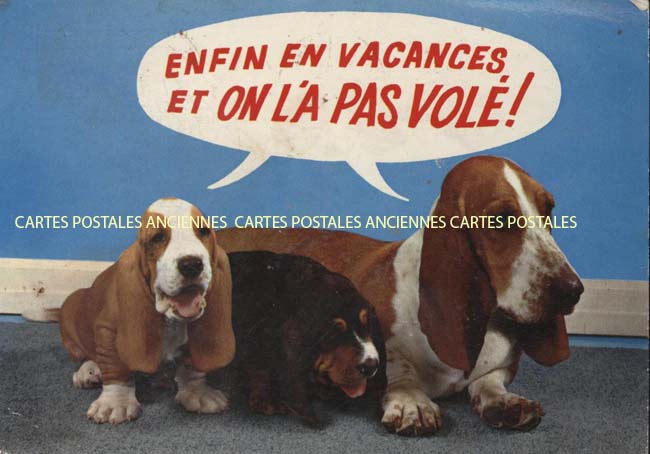 Cartes postales anciennes > CARTES POSTALES > carte postale ancienne > cartes-postales-ancienne.com Animaux Chiens