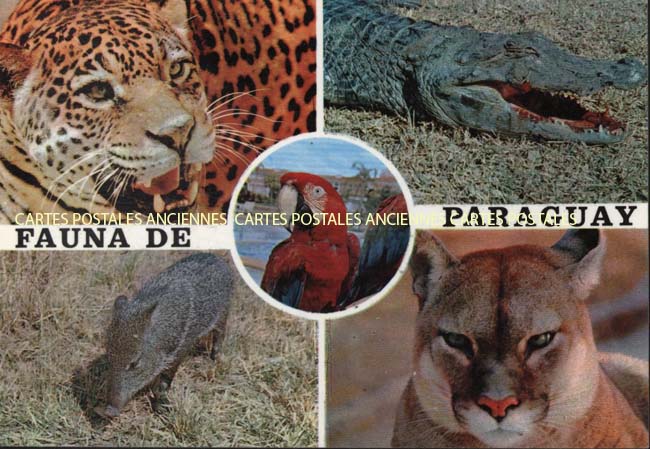 Cartes postales anciennes > CARTES POSTALES > carte postale ancienne > cartes-postales-ancienne.com