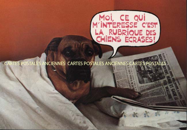 Cartes postales anciennes > CARTES POSTALES > carte postale ancienne > cartes-postales-ancienne.com Animaux Chiens