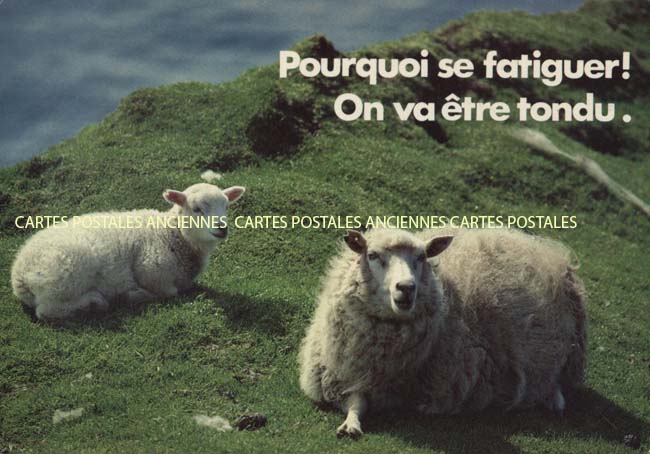 Cartes postales anciennes > CARTES POSTALES > carte postale ancienne > cartes-postales-ancienne.com