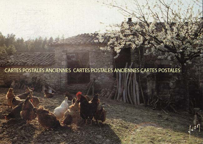 Cartes postales anciennes > CARTES POSTALES > carte postale ancienne > cartes-postales-ancienne.com Metiers Agriculteur