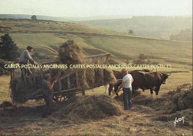 Cartes postales anciennes > CARTES POSTALES > carte postale ancienne > cartes-postales-ancienne.com Metiers Agriculteur