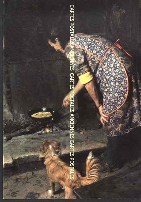 Profession To cook