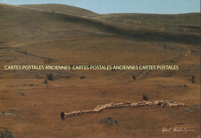 Cartes postales anciennes > CARTES POSTALES > carte postale ancienne > cartes-postales-ancienne.com Paysage