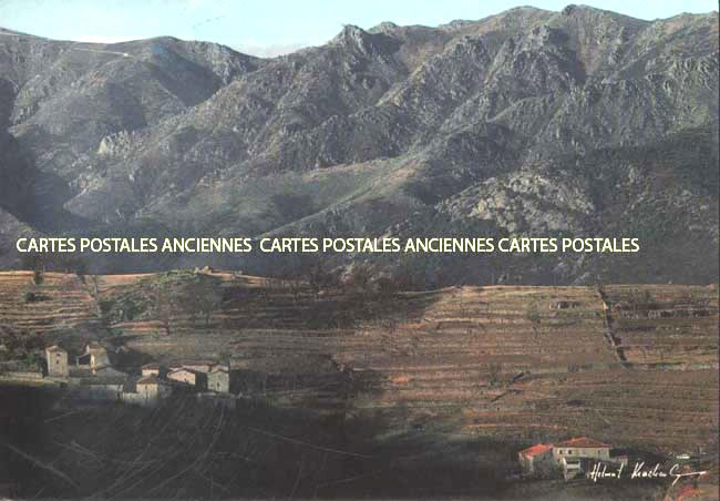 Cartes postales anciennes > CARTES POSTALES > carte postale ancienne > cartes-postales-ancienne.com Paysage Campagne