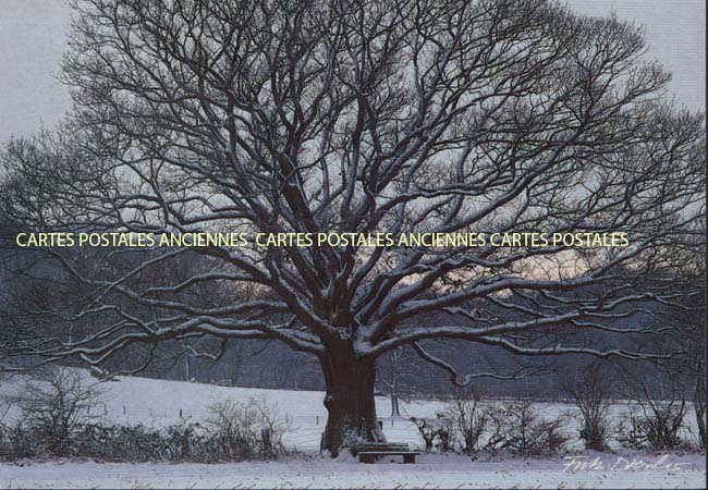 Cartes postales anciennes > CARTES POSTALES > carte postale ancienne > cartes-postales-ancienne.com Paysage