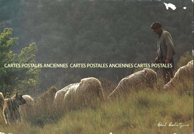 Cartes postales anciennes > CARTES POSTALES > carte postale ancienne > cartes-postales-ancienne.com Metiers Berger