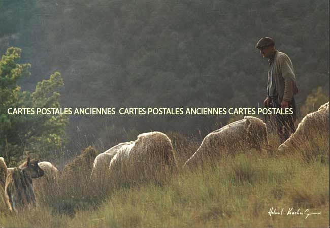 Cartes postales anciennes > CARTES POSTALES > carte postale ancienne > cartes-postales-ancienne.com Metiers