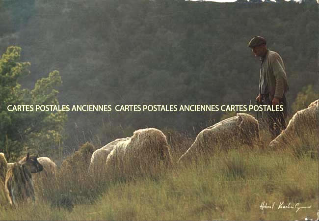 Cartes postales anciennes > CARTES POSTALES > carte postale ancienne > cartes-postales-ancienne.com Metiers