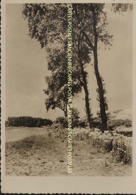 Cartes postales anciennes > CARTES POSTALES > carte postale ancienne > cartes-postales-ancienne.com Paysage