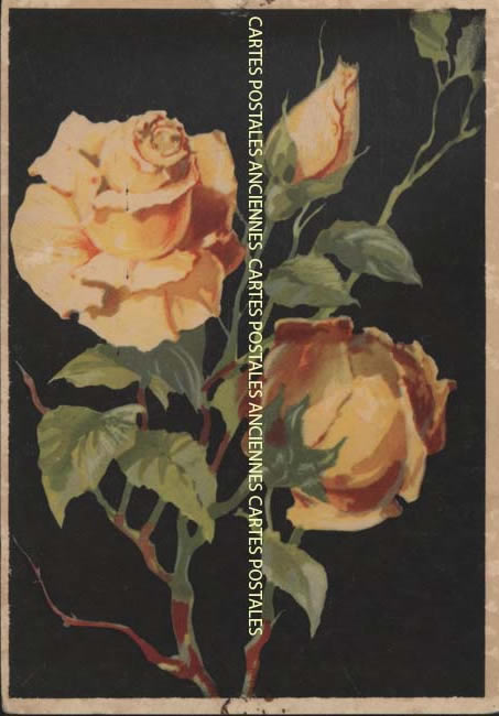 Cartes postales anciennes > CARTES POSTALES > carte postale ancienne > cartes-postales-ancienne.com Fleurs