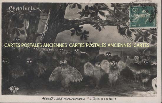 Fancy Illustrator Chantecler