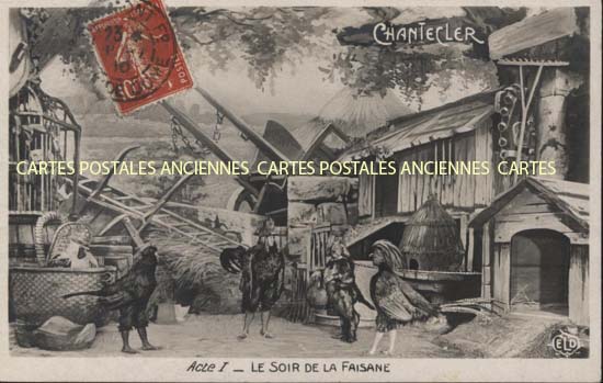 Fancy Illustrator Chantecler