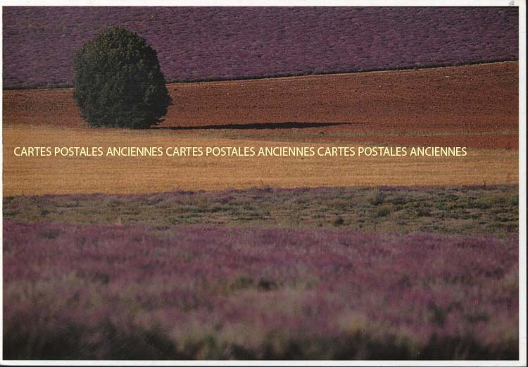 Cartes postales anciennes > CARTES POSTALES > carte postale ancienne > cartes-postales-ancienne.com