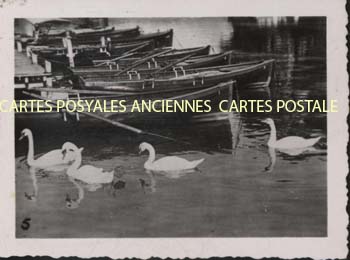 Cartes postales anciennes > CARTES POSTALES > carte postale ancienne > cartes-postales-ancienne.com Diverses petites photos