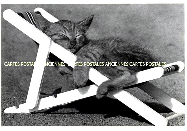 Cartes postales anciennes > CARTES POSTALES > carte postale ancienne > cartes-postales-ancienne.com