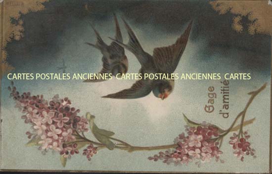 Cartes postales anciennes > CARTES POSTALES > carte postale ancienne > cartes-postales-ancienne.com