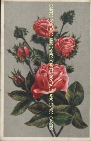 Cartes postales anciennes > CARTES POSTALES > carte postale ancienne > cartes-postales-ancienne.com Fleurs