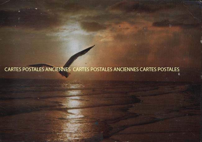 Cartes postales anciennes > CARTES POSTALES > carte postale ancienne > cartes-postales-ancienne.com Mer