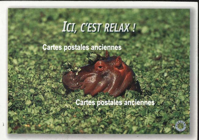 Cartes postales anciennes > CARTES POSTALES > carte postale ancienne > cartes-postales-ancienne.com Humour