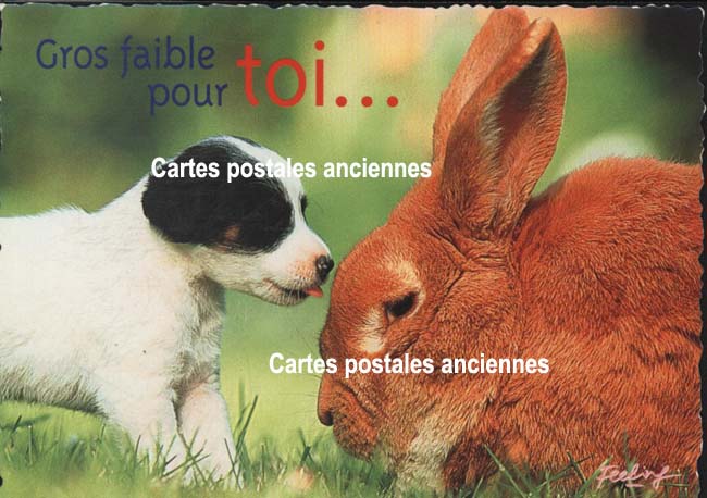 Cartes postales anciennes > CARTES POSTALES > carte postale ancienne > cartes-postales-ancienne.com Humour