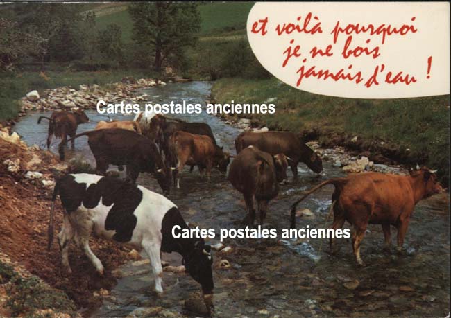 Cartes postales anciennes > CARTES POSTALES > carte postale ancienne > cartes-postales-ancienne.com Humour