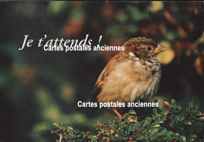 Cartes postales anciennes > CARTES POSTALES > carte postale ancienne > cartes-postales-ancienne.com