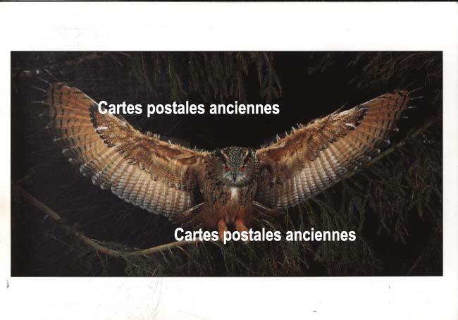 Cartes postales anciennes > CARTES POSTALES > carte postale ancienne > cartes-postales-ancienne.com