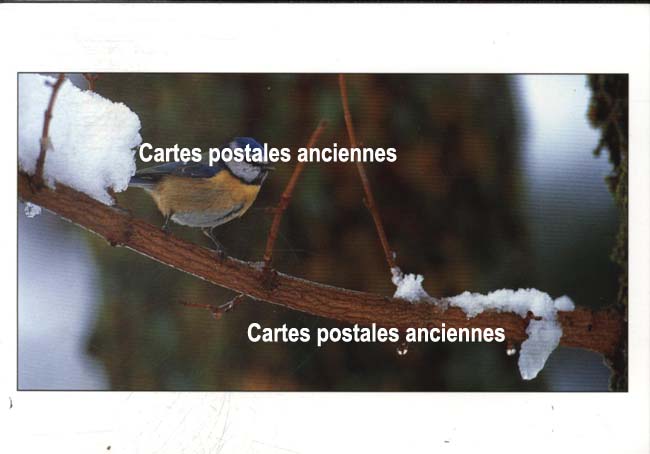 Cartes postales anciennes > CARTES POSTALES > carte postale ancienne > cartes-postales-ancienne.com