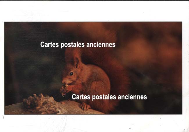 Cartes postales anciennes > CARTES POSTALES > carte postale ancienne > cartes-postales-ancienne.com