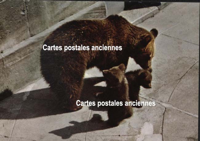 Cartes postales anciennes > CARTES POSTALES > carte postale ancienne > cartes-postales-ancienne.com