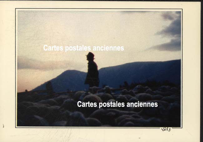 Cartes postales anciennes > CARTES POSTALES > carte postale ancienne > cartes-postales-ancienne.com Paysage