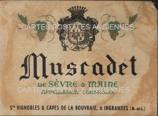 Cartes postales anciennes > CARTES POSTALES > carte postale ancienne > cartes-postales-ancienne.com Etiquette vin