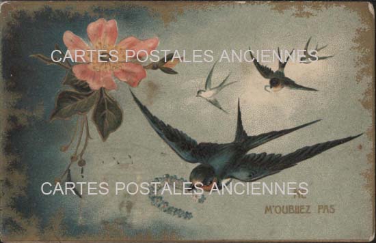 Cartes postales anciennes > CARTES POSTALES > carte postale ancienne > cartes-postales-ancienne.com Oiseaux