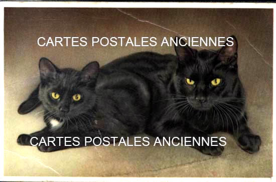Cartes postales anciennes > CARTES POSTALES > carte postale ancienne > cartes-postales-ancienne.com