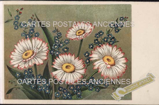 Cartes postales anciennes > CARTES POSTALES > carte postale ancienne > cartes-postales-ancienne.com Nouvelle annee