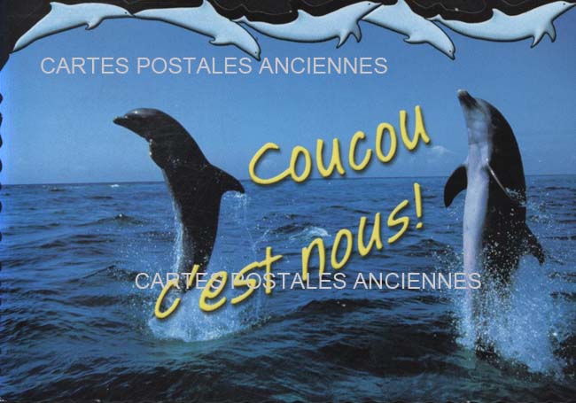 Cartes postales anciennes > CARTES POSTALES > carte postale ancienne > cartes-postales-ancienne.com