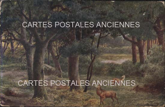 Cartes postales anciennes > CARTES POSTALES > carte postale ancienne > cartes-postales-ancienne.com Paysage Suite